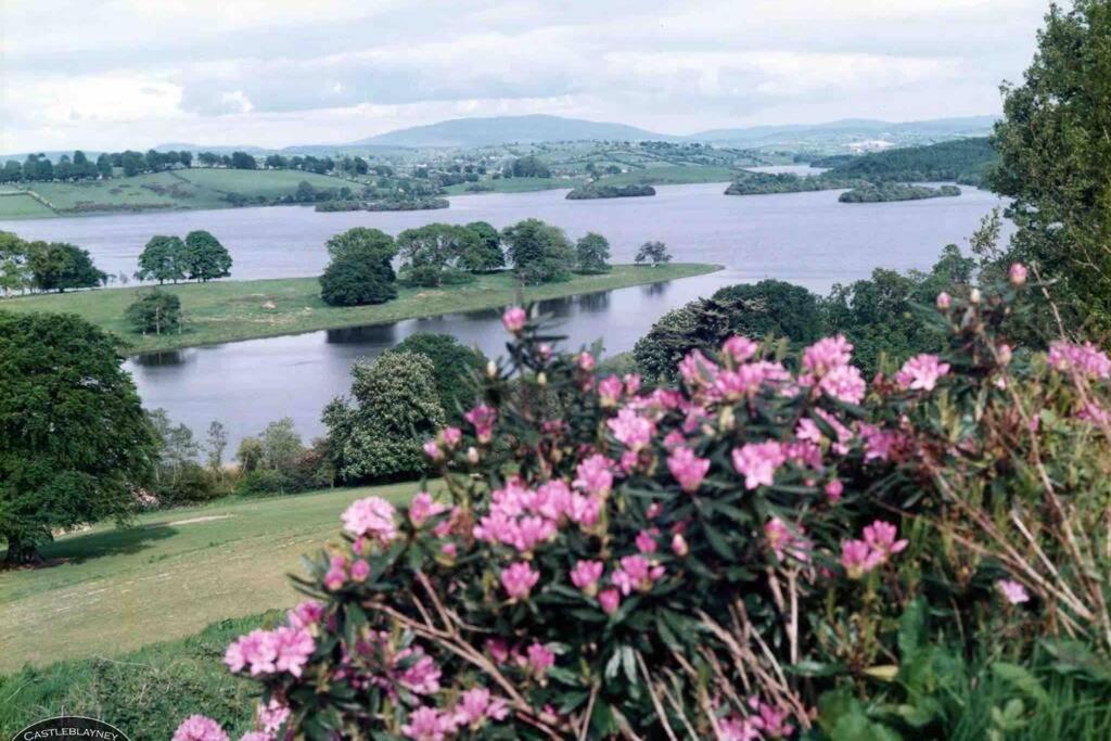 Glenmount Castleblayney Villa Eksteriør bilde