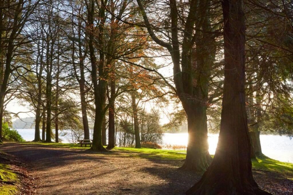 Glenmount Castleblayney Villa Eksteriør bilde
